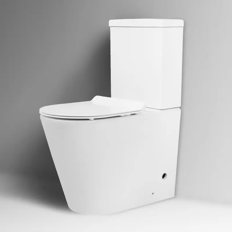 Home Bathroom With Two Toilets - Современный высококачественный керамический напольный унитаз, легко